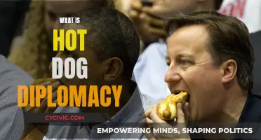 Hot Dog Diplomacy: A Savory Strategy for Global Relations