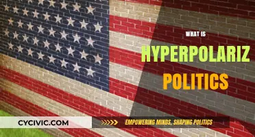 Understanding Hyperpolarized Politics: Causes, Consequences, and Potential Solutions