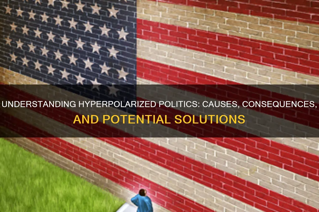what is hyperpolarized politics
