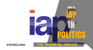 Understanding IAP: Influence, Access, and Power in Political Dynamics