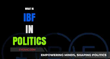 Understanding IBF: Its Role and Impact in Modern Political Strategies