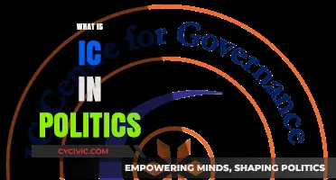Understanding the Role of IC in Political Systems and Governance