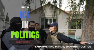 Understanding ICE: Immigration Enforcement's Role in Political Debates