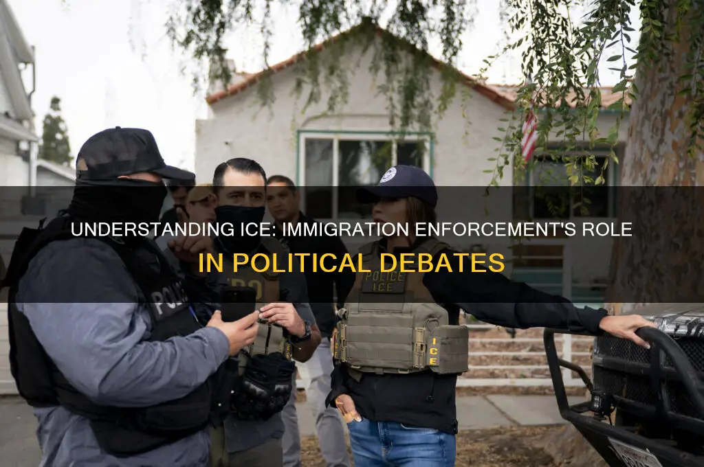 what is ice in politics