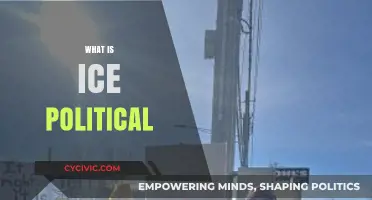 Understanding ICE Political: Policies, Impact, and Public Debate Explained