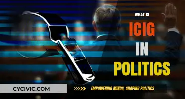 Understanding ICIG: Its Role and Impact in Political Whistleblowing