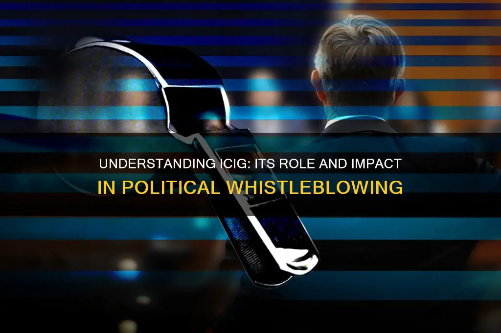 what is icig in politics