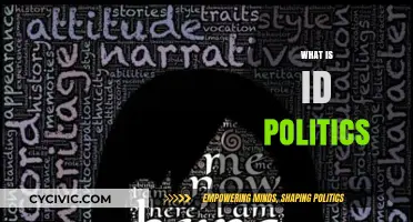 Understanding Identity Politics: Exploring Its Impact on Society and Culture