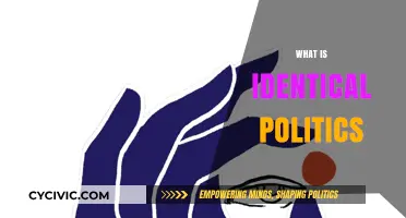 Understanding Identical Politics: A Deep Dive into Its Core Concepts