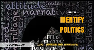 Understanding Identity Politics: Its Impact, Evolution, and Societal Significance