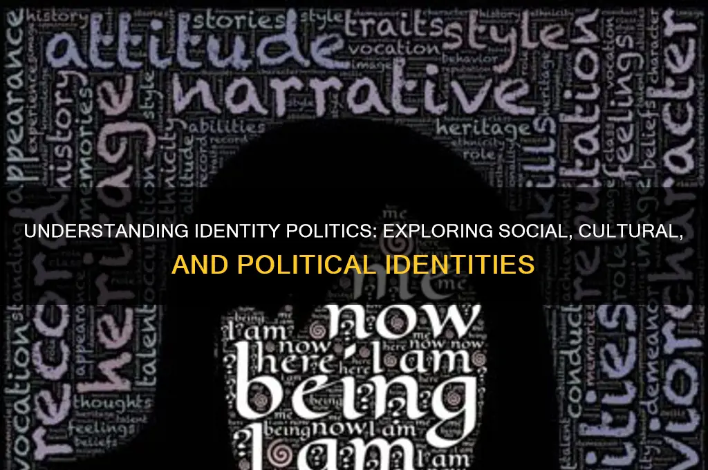 what is identiry politics
