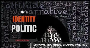 Understanding Identity Politics: Exploring Social, Cultural, and Political Identities