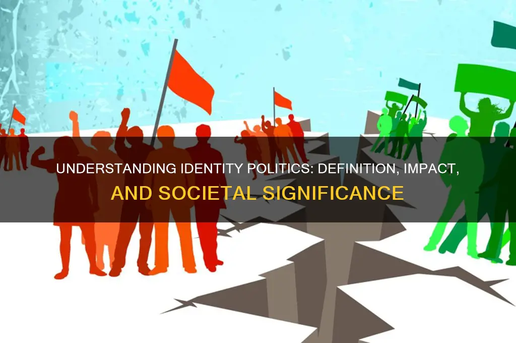 what is identity politics define