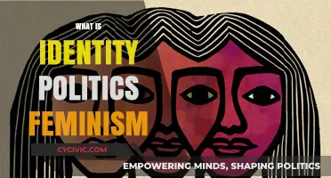 Understanding Identity Politics Feminism: Intersectionality, Power, and Social Justice