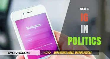 Understanding IG: Its Role and Impact in Modern Politics