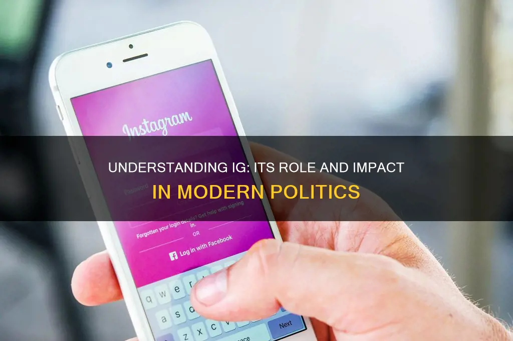 what is ig in politics