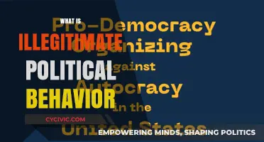 Unveiling Illegitimate Political Behavior: Tactics, Consequences, and Ethical Boundaries