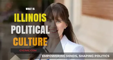 Understanding Illinois' Political Culture: History, Trends, and Key Influences
