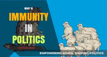 Understanding Political Immunity: Legal Protections and Their Impact on Governance