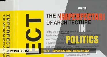 Imperfectability in Politics: Navigating Flawed Systems for Better Governance