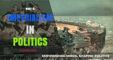 Understanding Imperialism: Political Dominance, Economic Control, and Global Influence