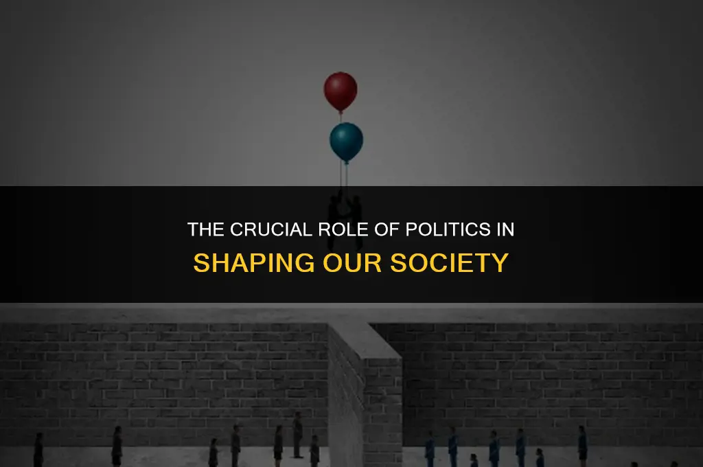 what is importance of politics in our society