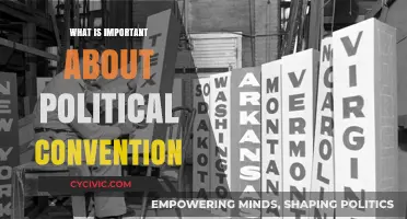 Understanding the Significance of Political Conventions in Modern Democracy
