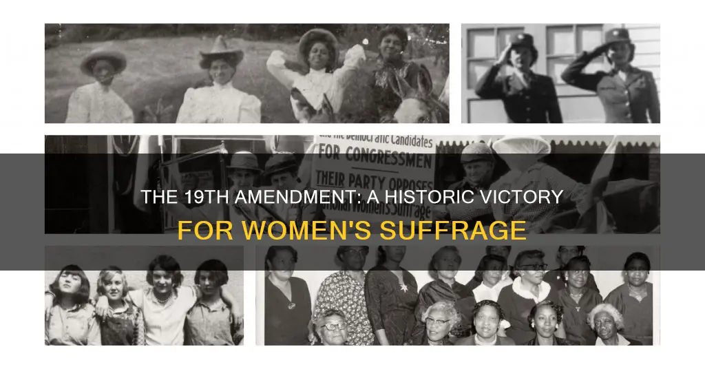 what is important about the 19th amendment to the constitution