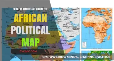 Understanding Africa's Political Landscape: Key Features and Importance
