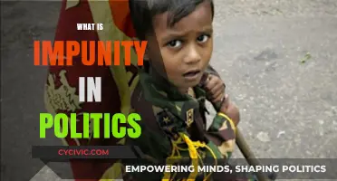 Understanding Impunity: Political Accountability and Its Erosion in Governance