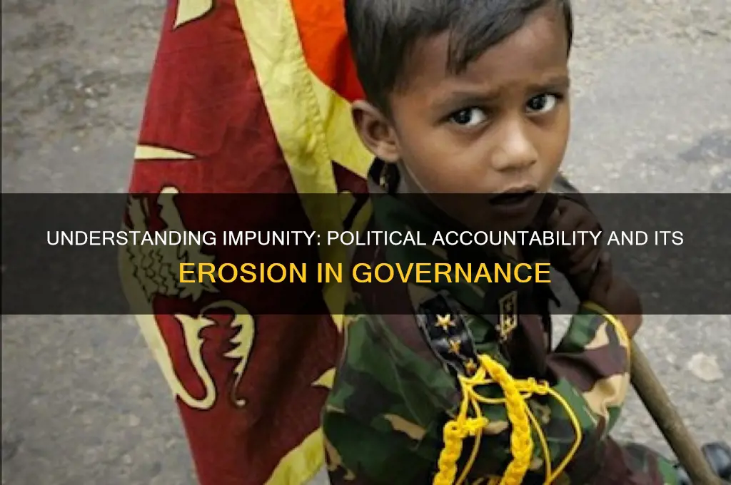 what is impunity in politics