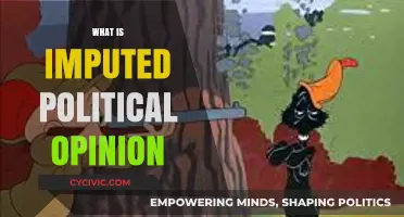 Understanding Imputed Political Opinion: Definition, Impact, and Legal Implications