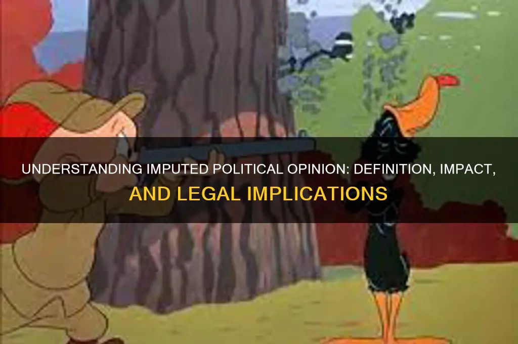 what is imputed political opinion