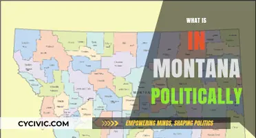 Montana's Political Landscape: Parties, Policies, and Power Dynamics Explained