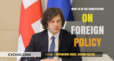 Foreign Policy: The Constitution's Guide