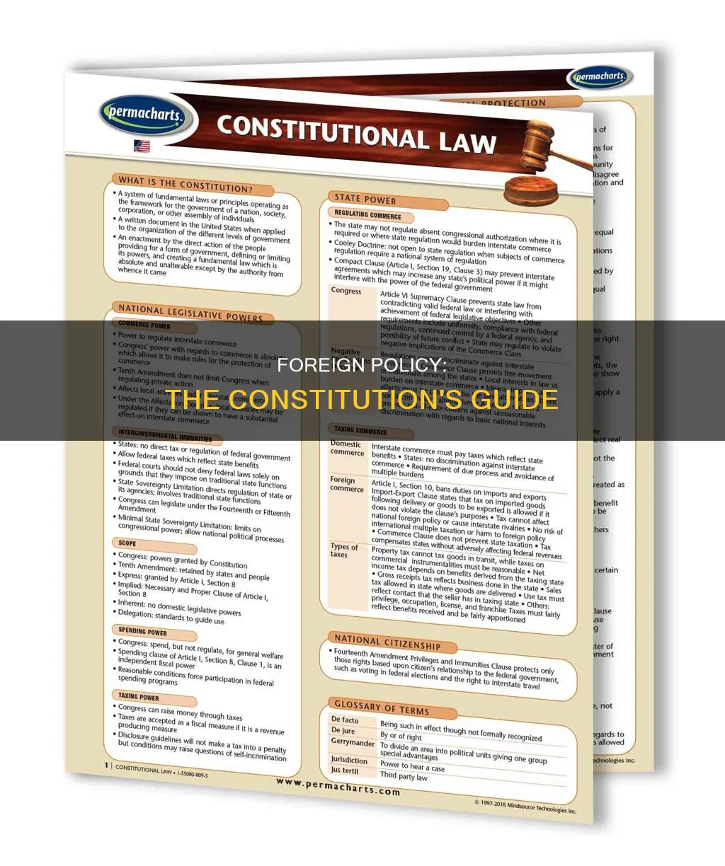 what is in the constitution on foreign policy