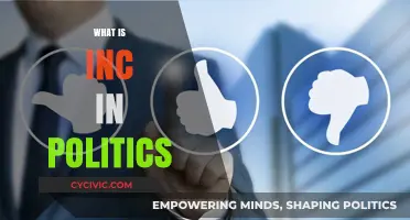 Understanding INC: The Role and Impact in Political Landscapes