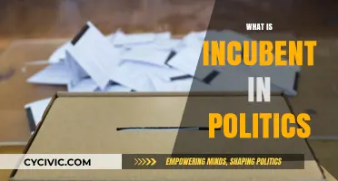 Understanding the Role of an Incumbent in Political Campaigns