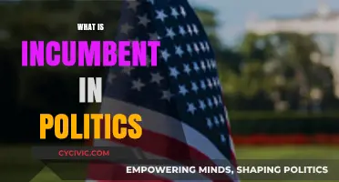 Understanding the Role of Incumbents in Political Landscapes and Elections