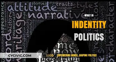 Understanding Identity Politics: Its Impact, Evolution, and Societal Significance