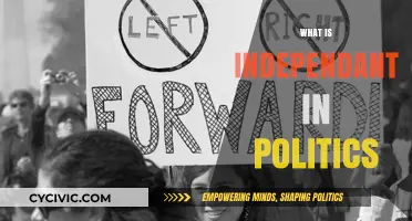 Understanding Political Independence: What It Means and Why It Matters