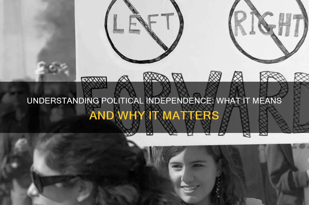 what is independant in politics