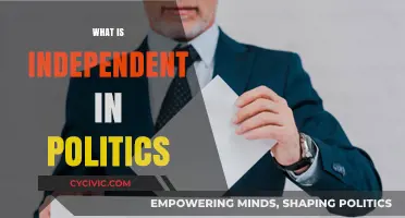 Understanding Political Independence: What Does It Truly Mean in Modern Governance?