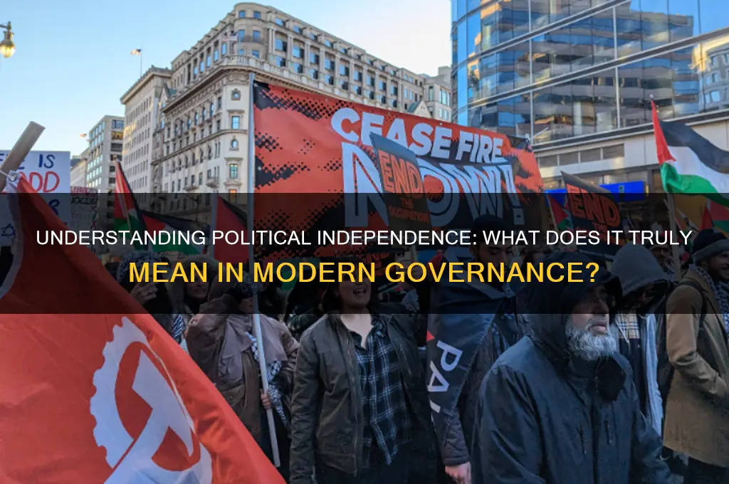 what is independent in politics