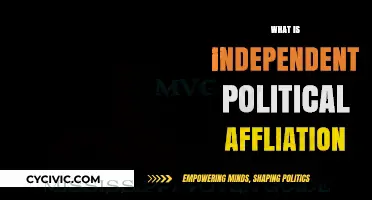 Understanding Independent Political Affiliation: A Non-Partisan Voter's Guide