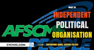 Understanding Independent Political Organisations: Structure, Goals, and Impact
