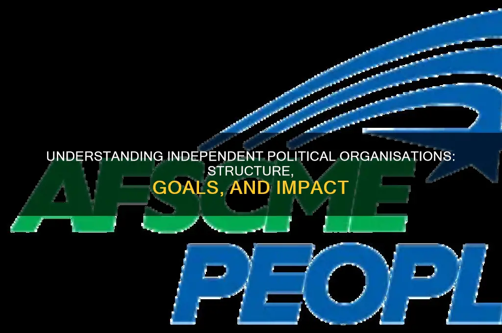 what is independent political organisation