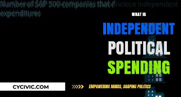 Understanding Independent Political Spending: Influence, Impact, and Implications