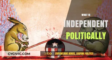 Understanding Independent Politics: A Guide to Non-Partisan Political Stance