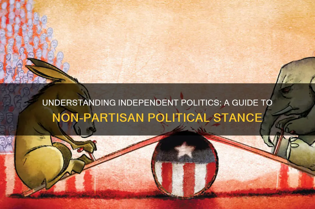 what is independent politically